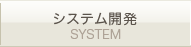 システム開発 SYSTEM